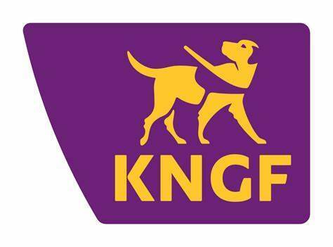 Logo KNGF